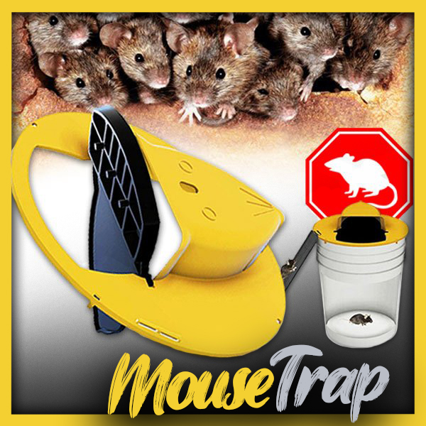 Mousetrap – Slazds pelēm un žurkām