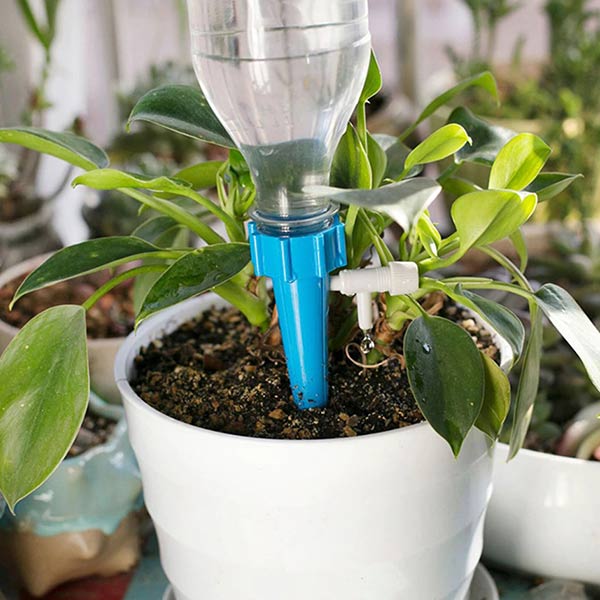 Automātiskās Laistīšanas tapas 12+12 BEZ MAKSAS slider