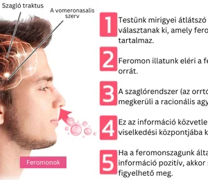 Smaržas sievietēm – FEROMON PARFUME 03