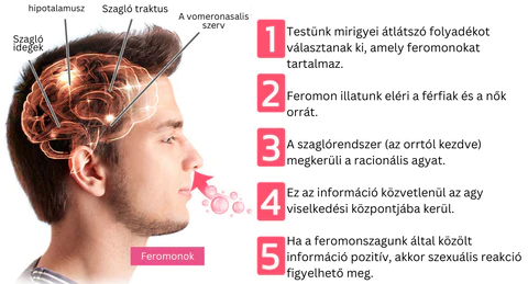 Smaržas sievietēm – FEROMON PARFUME slider